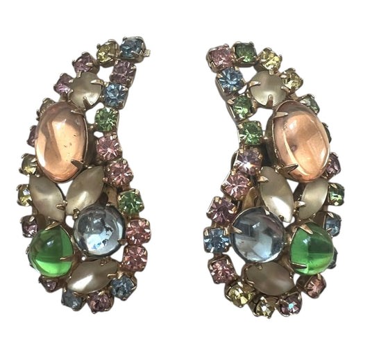 Large Fruit Salad Paisley Shaped Clip On Earrings